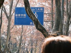-灵谷景区