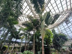 -石家庄市植物园
