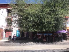 -古树酸奶(八廓南街店)