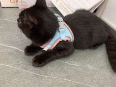 -派特宠物医院(圆融广场店)