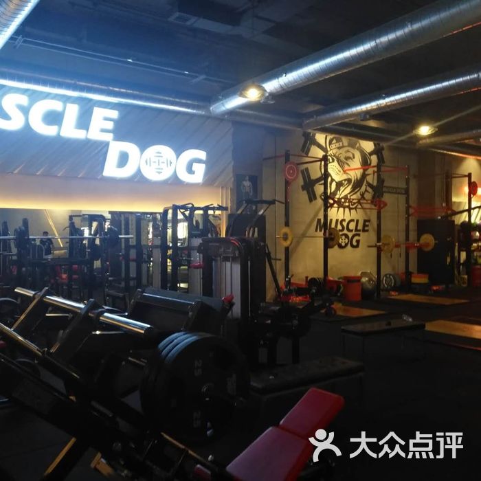 muscle dog综合训练中心图片-北京健身房-大众点评网