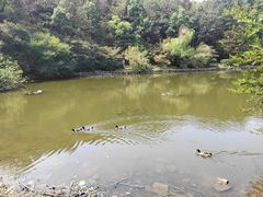 -岳麓山风景名胜区