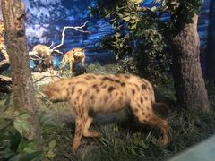 -国家自然博物馆