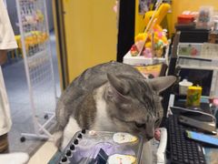-谜盒子奇幻密室(南屏店)