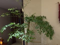 -象泰SPA·泰式按摩·足疗(卓悦中心店)