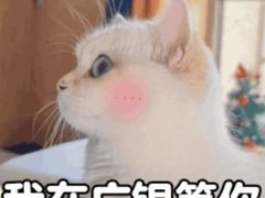 -广州银行大厦