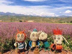 -新疆那拉提国家旅游度假区
