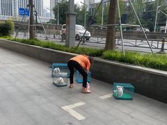 -马鹦路(地铁站)