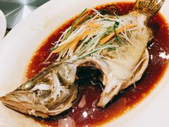清蒸桂鱼-上海精菜馆(虎踞关店)