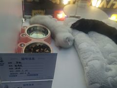 -万达广场(太原街店)