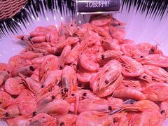 -乔哥铭洋海鲜自助(皇城恒隆广场店)