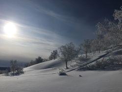 -大秃顶子山