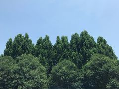 -河南省体育中心-南门停车场