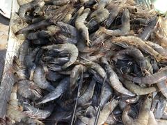 -小科自助海鲜烧肉(高区店)