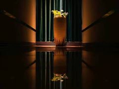 -足传奇足浴SPA(科技城店)