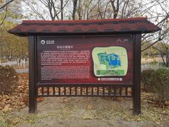 -大兴滨河森林公园