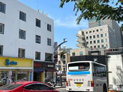 -莲洞本家