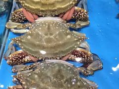 -新花城蟹粉馆(乌鲁木齐店)