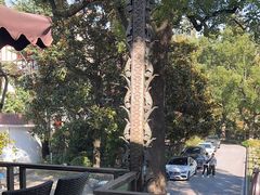 -申粤轩酒楼·三十年粤菜经典(丁香花园店)