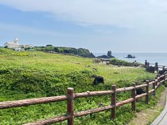 -涉地可支