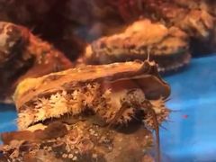 -臻鲜燕海鲜融合餐厅(金陵style店)