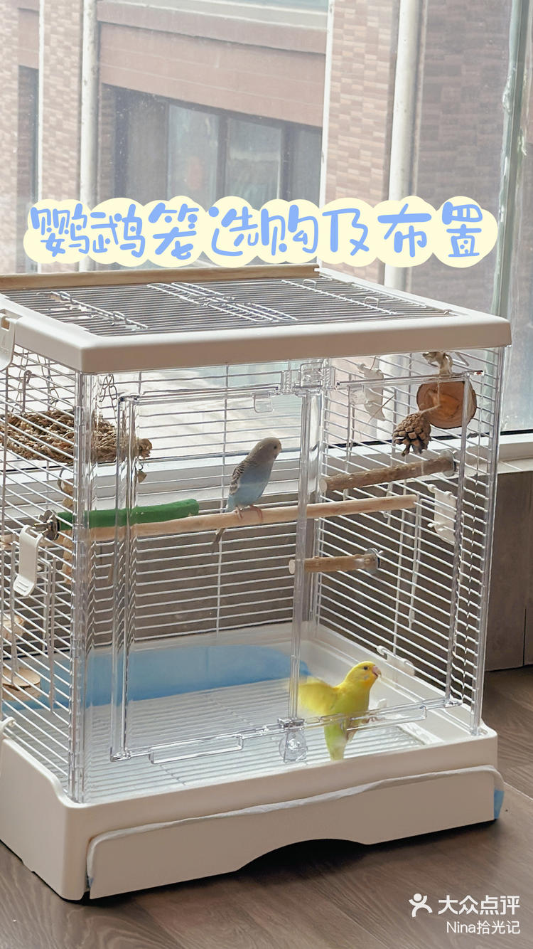 鹦鹉笼选购及科学布置,无广无废话-大众点评