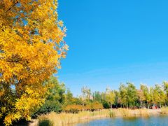 -永定河休闲森林公园