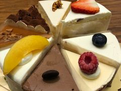 -莎琳娜食品有限公司·蛋糕店