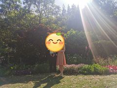 -汇龙潭