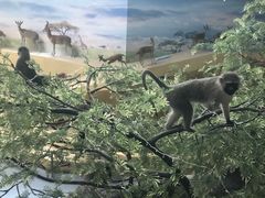 -长江文明馆
