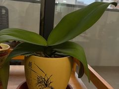 -双季花艺园艺市场(浦东店)