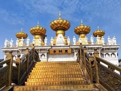 -上海东林寺(金山区)