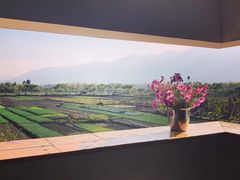 -翠田Green Field Kitchen