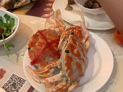 -东方雅典水疗美食汇(金海岸大厦店)