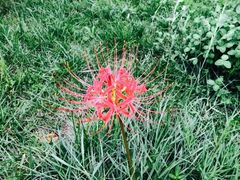 -贵阳市花溪国家城市湿地公园