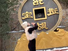 -龙口南山旅游景区