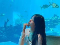 -涛·海底餐厅·美人鱼·自助餐·海底隧道(三亚海棠湾洲际度假酒店)