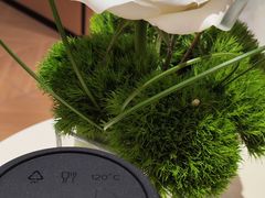 -蓉小乔·RONG COFFEE(春熙路店)