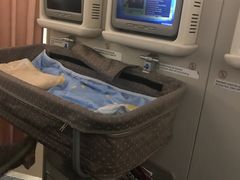 -新加坡航空公司(ION)