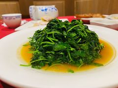 酒香草头-老吉士酒家(天平路店)