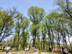 -高尔山公园