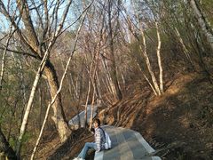 -白草畔自然风景区