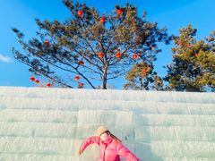 -长春世界雕塑园冰雪艺术天地