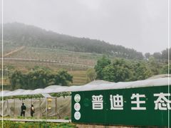 -普迪生态园