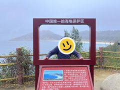 -广东惠东海龟国家级自然保护区
