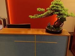 -鼎族怡华·指压·油压·经络(西单昌盛大厦店)
