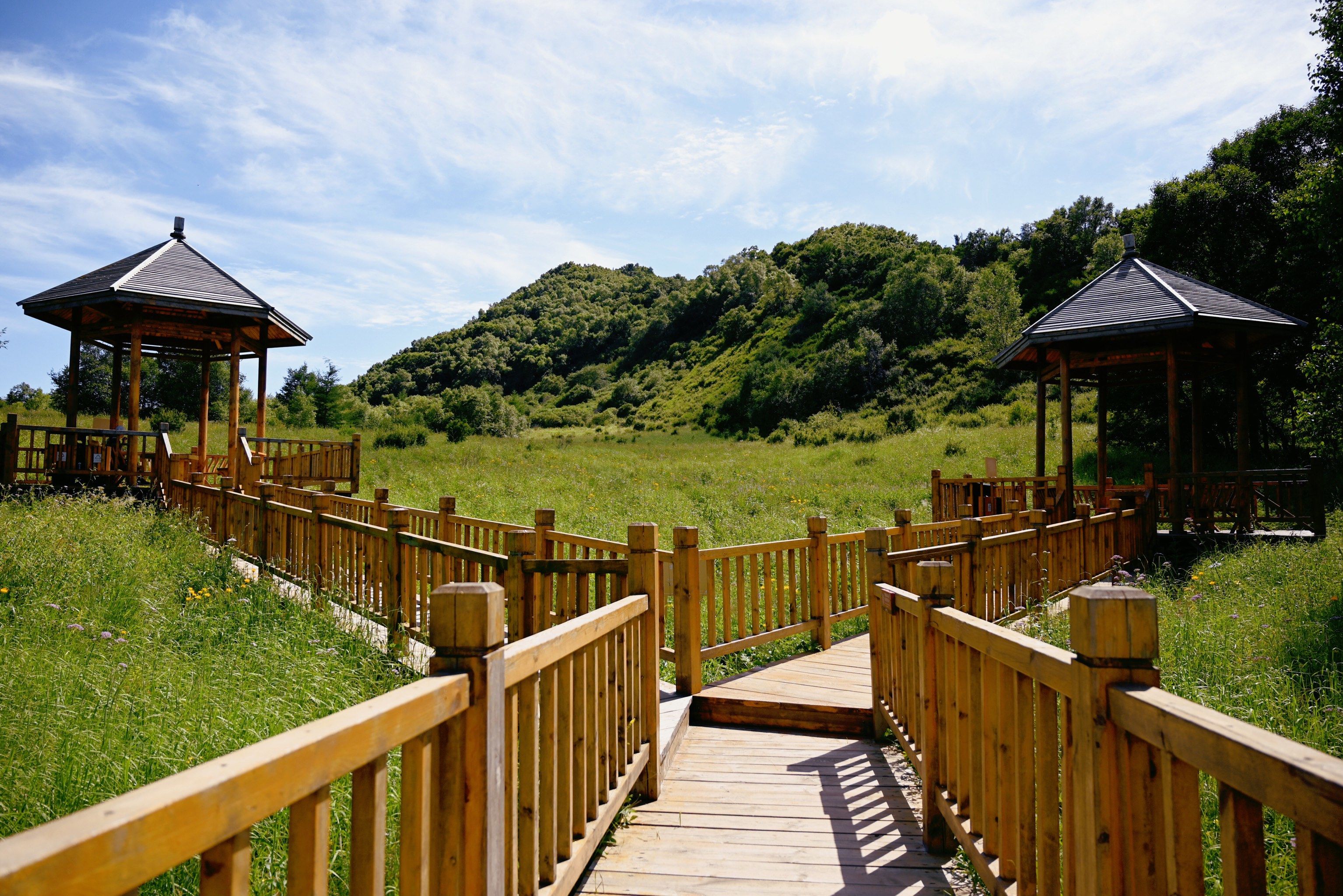 徒步记(百花山,白草畔)