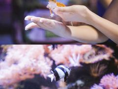 -南昌海洋公园