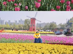 -大宁公园