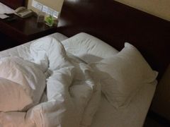 -日照君临天下大酒店